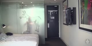 Angela White x Phoenix Marie Lesbian Strap-On Anal