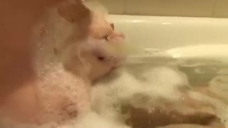 爆乳丰臀女神性爱私拍流出