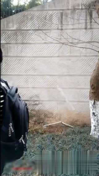 豆芽姊一脸淫荡渴望被上~ 主动挑逗儿子上自己! 儿子被挑起性欲后一发不可收拾!