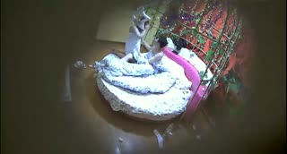 [鸟笼偷拍] 特色情趣房偷拍年轻小情侣~边摇边玩手机~